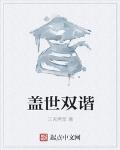蓋世雙諧