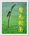 小人物的英傑傳