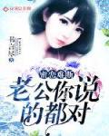 蜜戀難斷：老公你說的都對