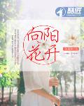 向陽花開